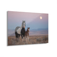 Load image into Gallery viewer, Acrylic Print — Mare and Foal at Moonrise