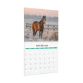 Load image into Gallery viewer, EQUUS 2026 Wall Calendar: Horses, Light, Landscape