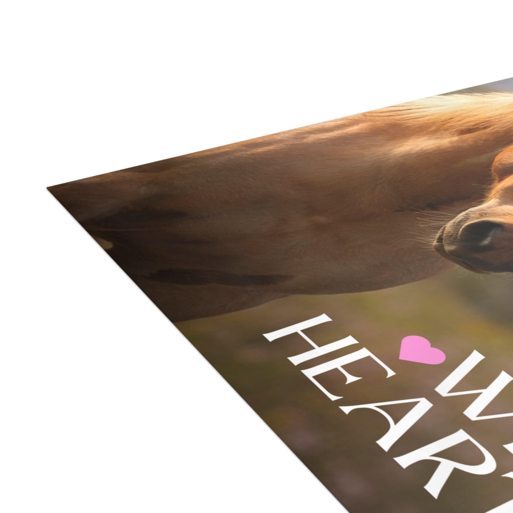 Wild Hearts v2 Postcard Bundle