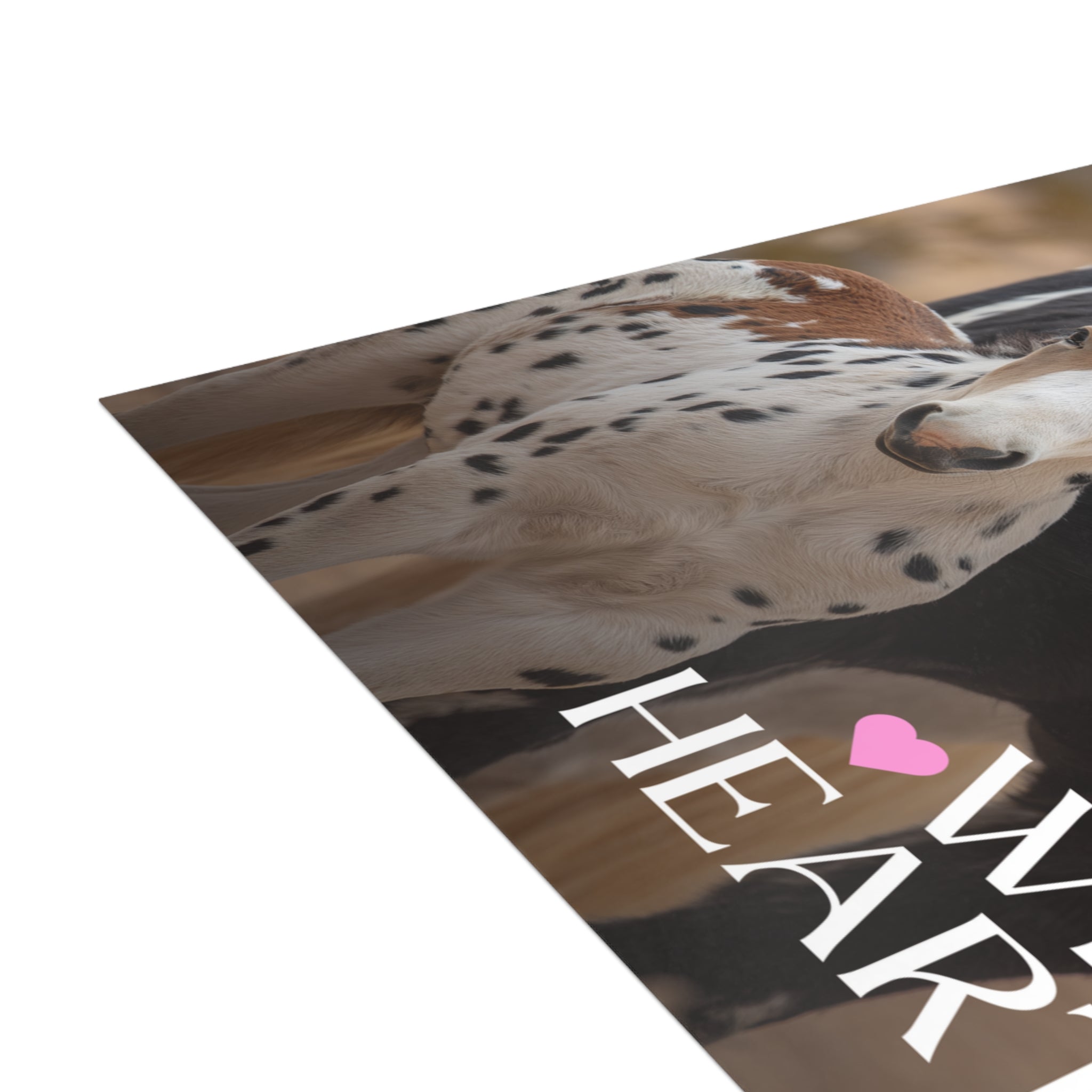 Wild Hearts v3 Postcard Bundle