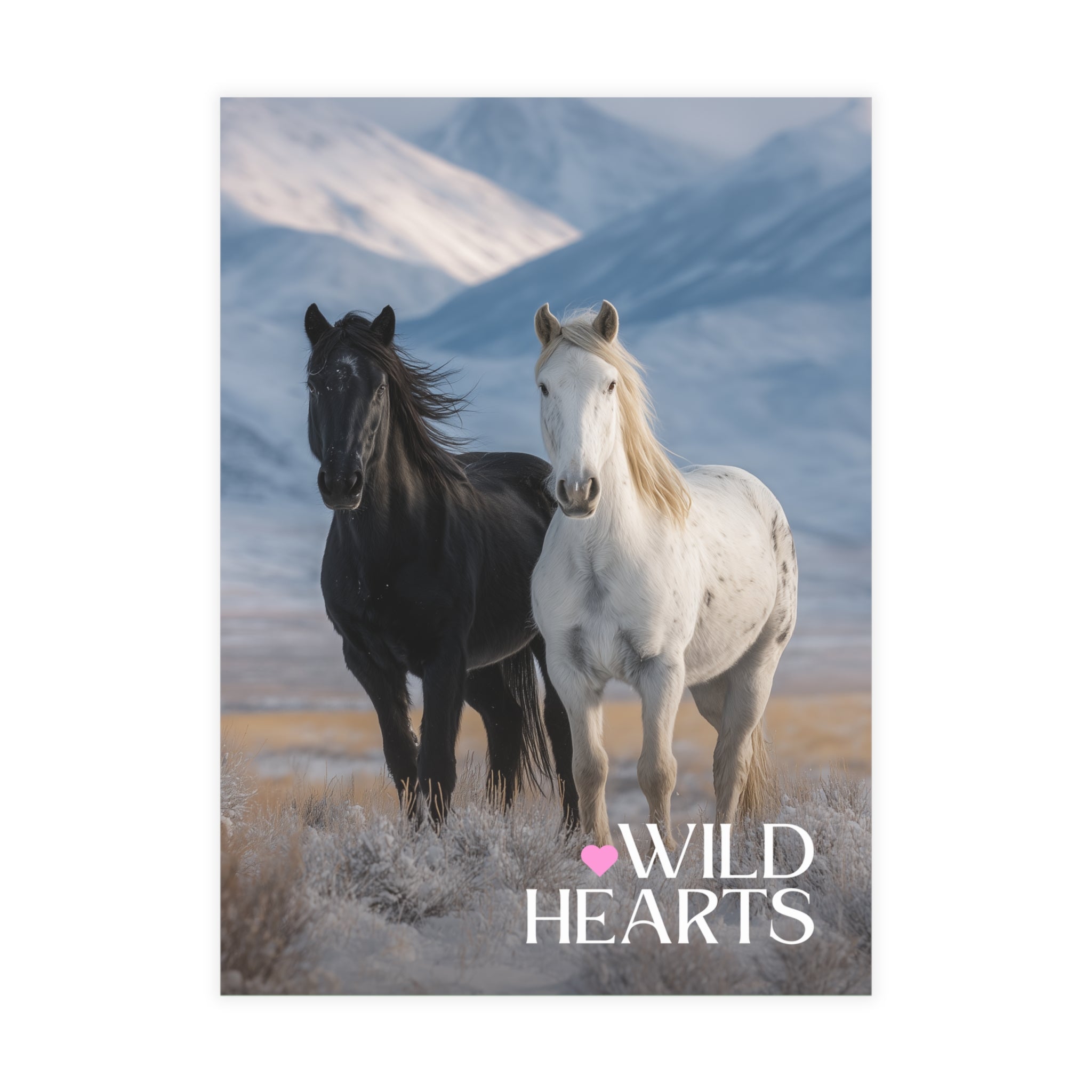 Wild Hearts v5 Postcard Bundle
