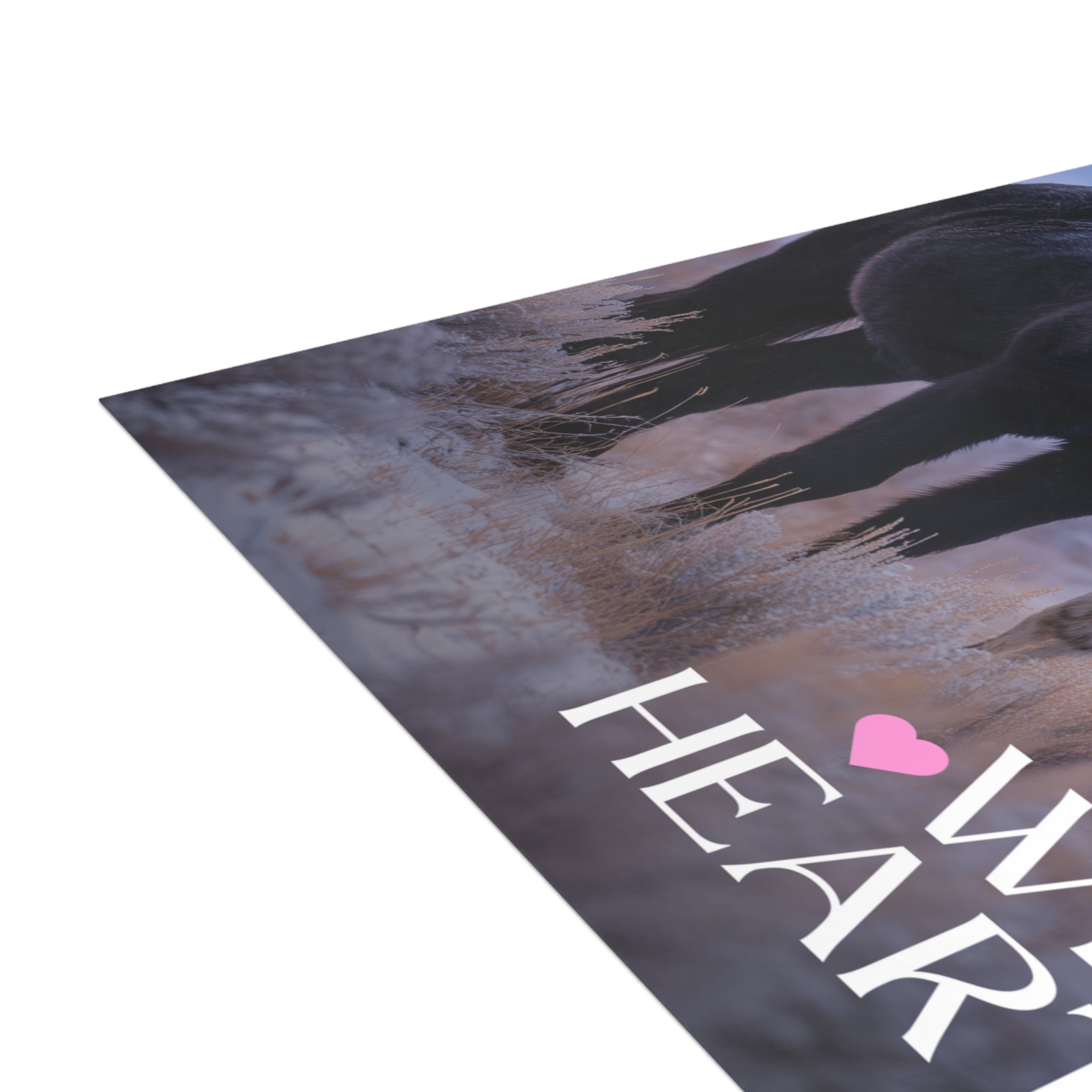 Wild Hearts v4 Postcard Bundle