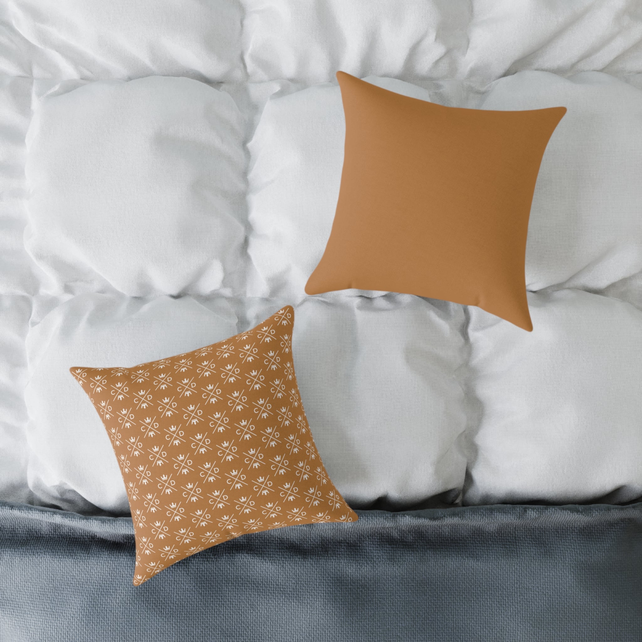 CD Logo Icon Canvas Pillow
