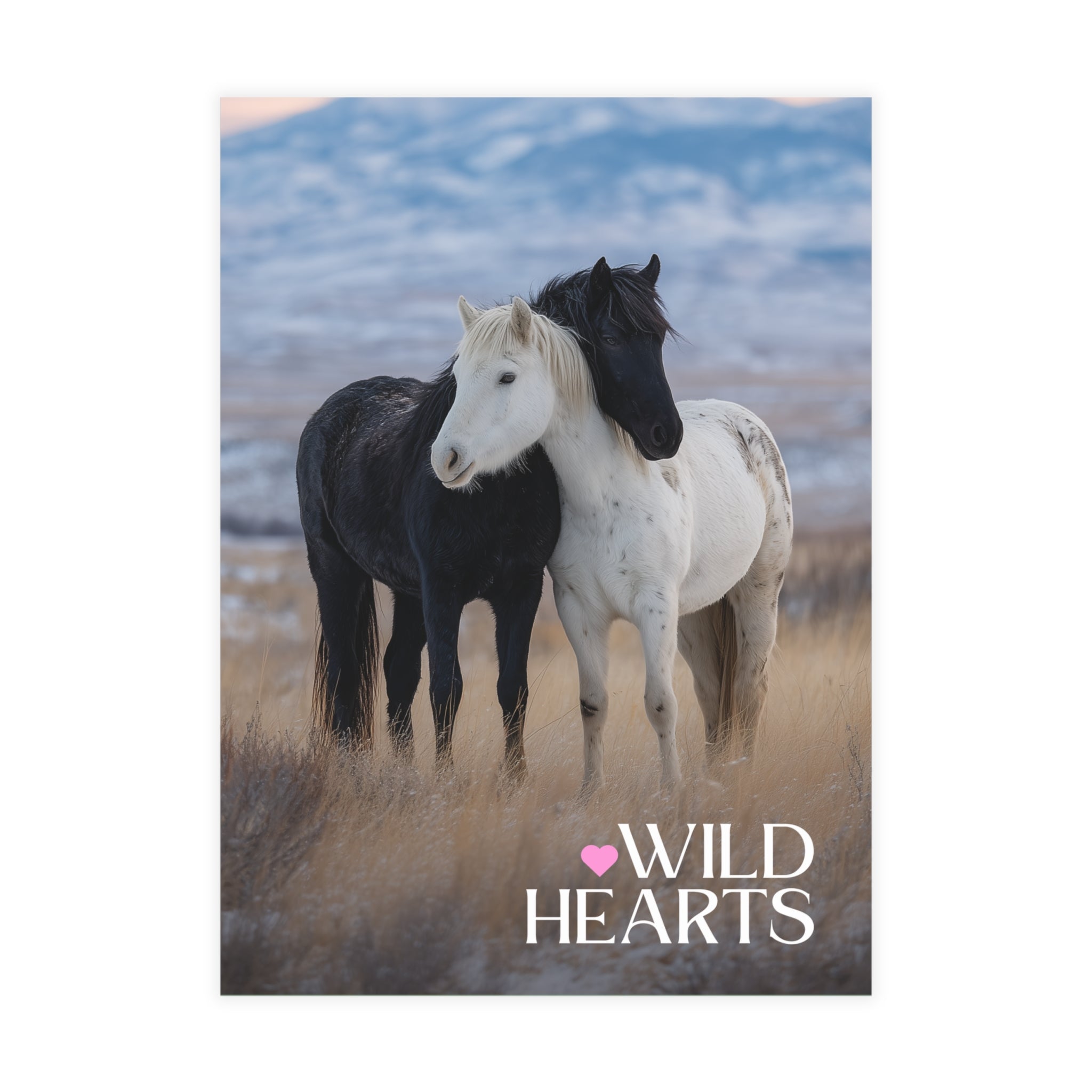 Wild Hearts Postcard Bundle