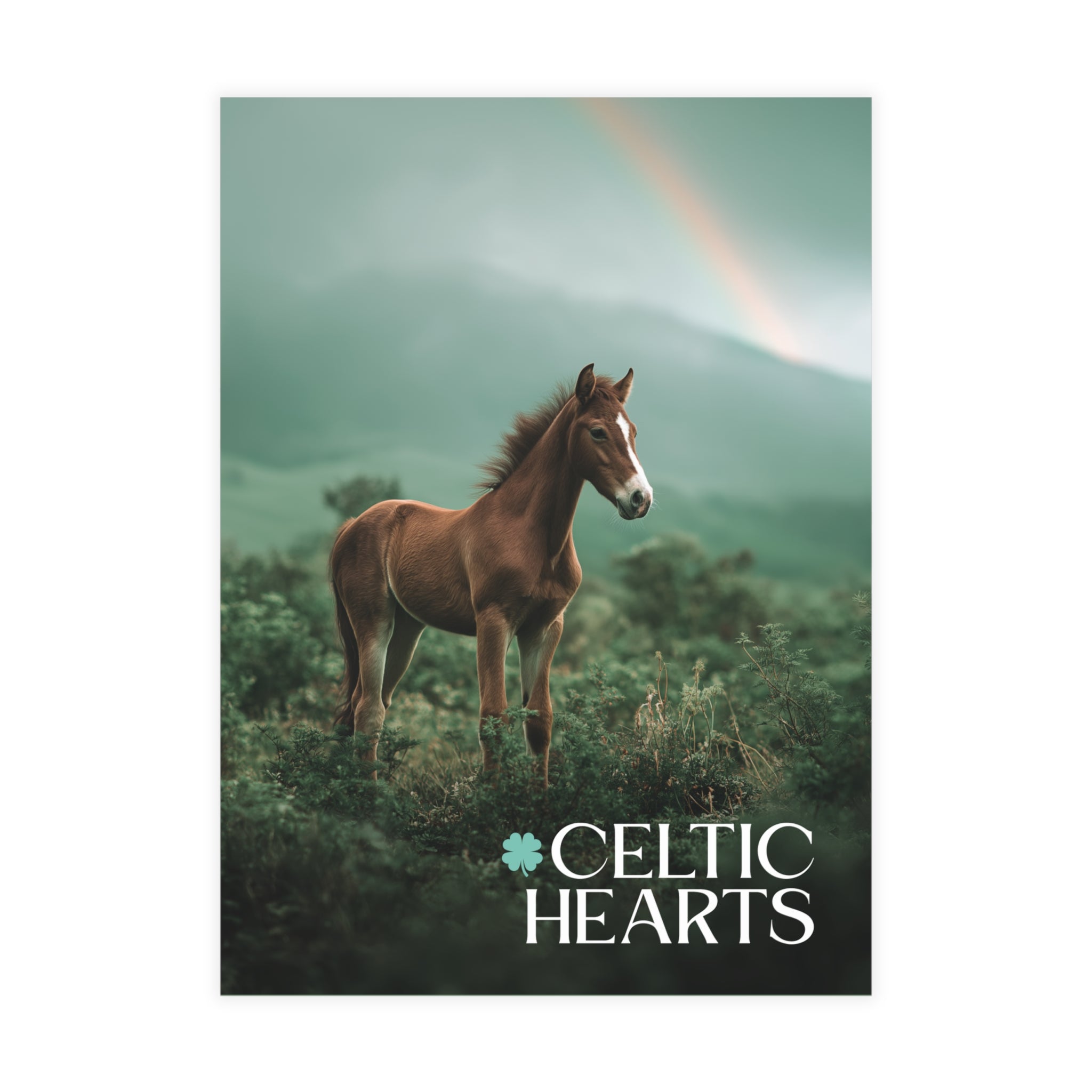 Celtic Hearts v4 Postcard Bundle
