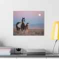 Load image into Gallery viewer, Acrylic Print — Mare and Foal at Moonrise
