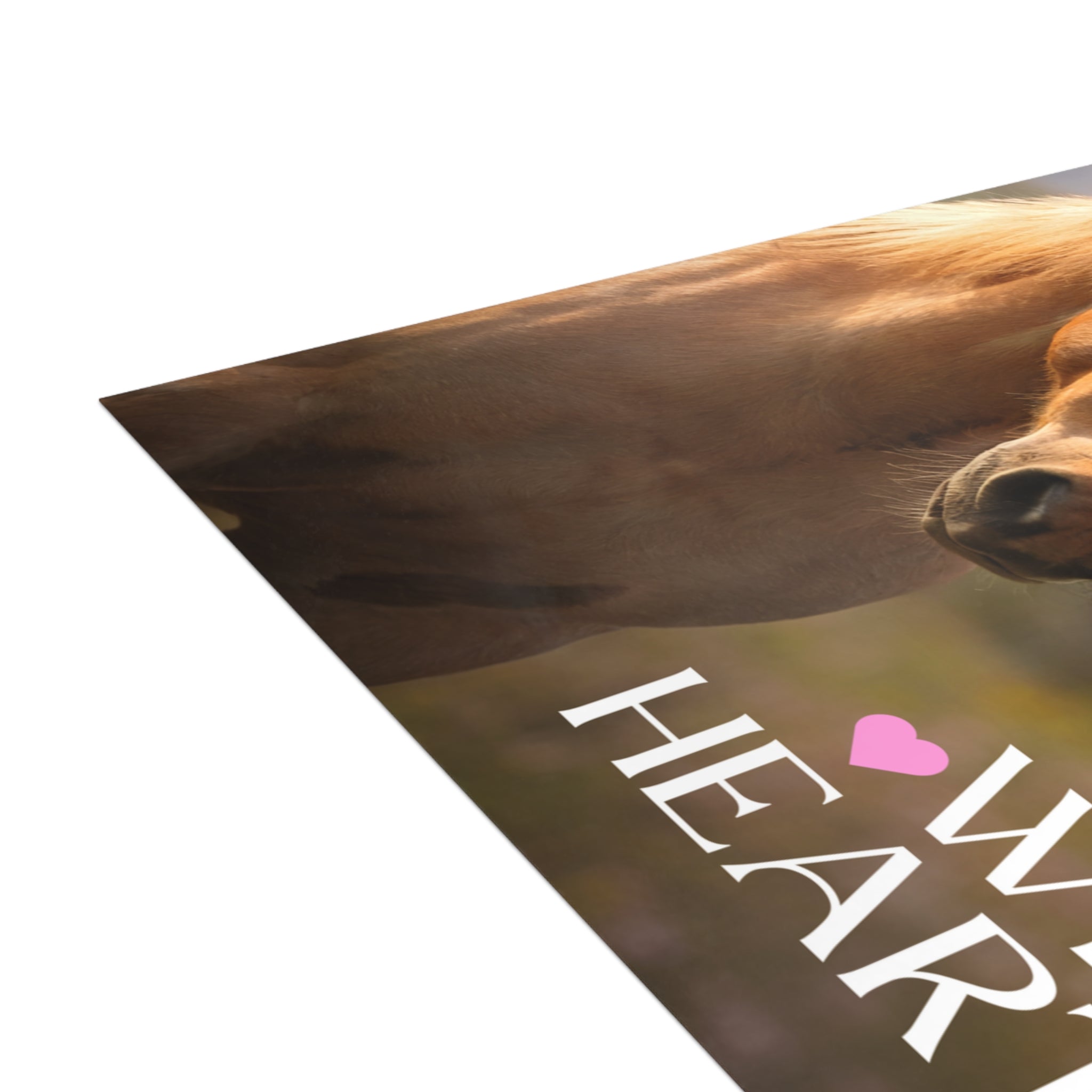 Wild Hearts v2 Postcard Bundle