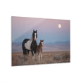 Load image into Gallery viewer, Acrylic Print — Mare and Foal at Moonrise
