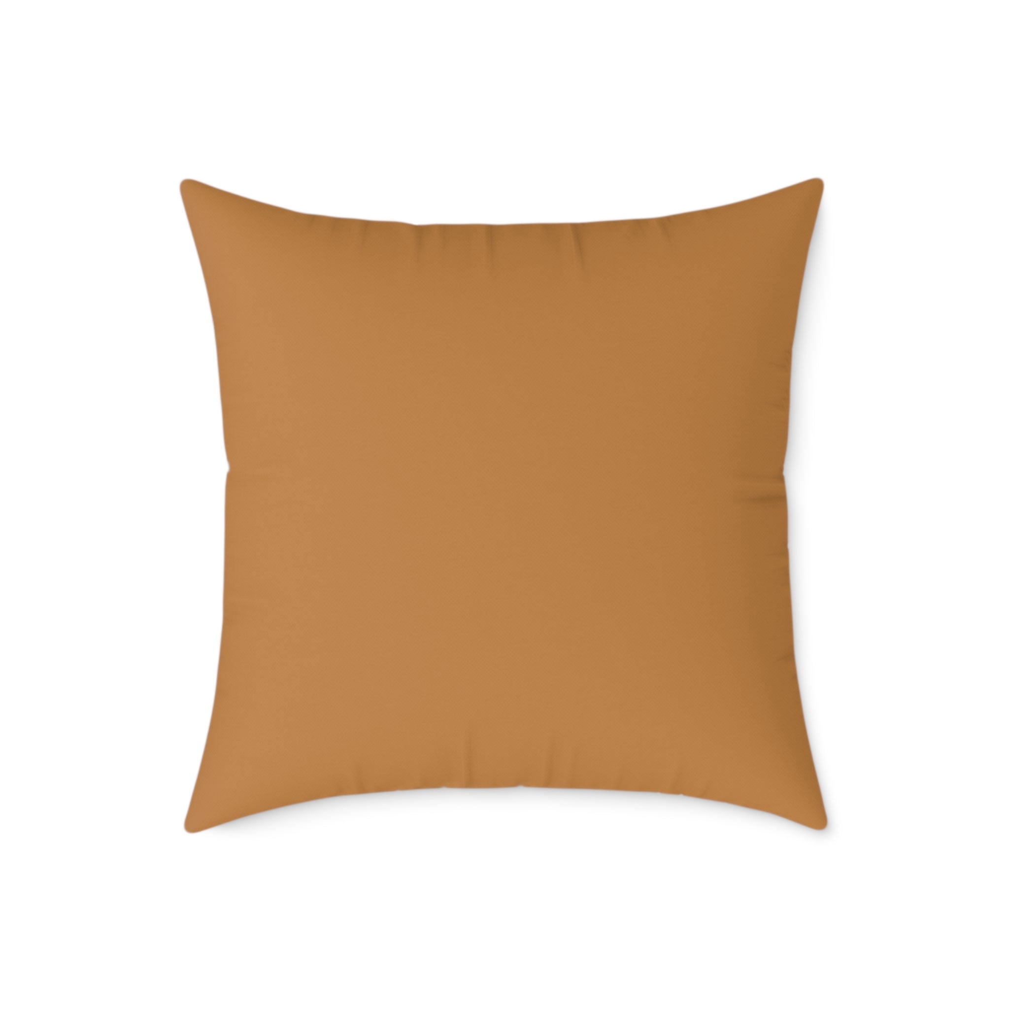 CD Logo Icon Canvas Pillow
