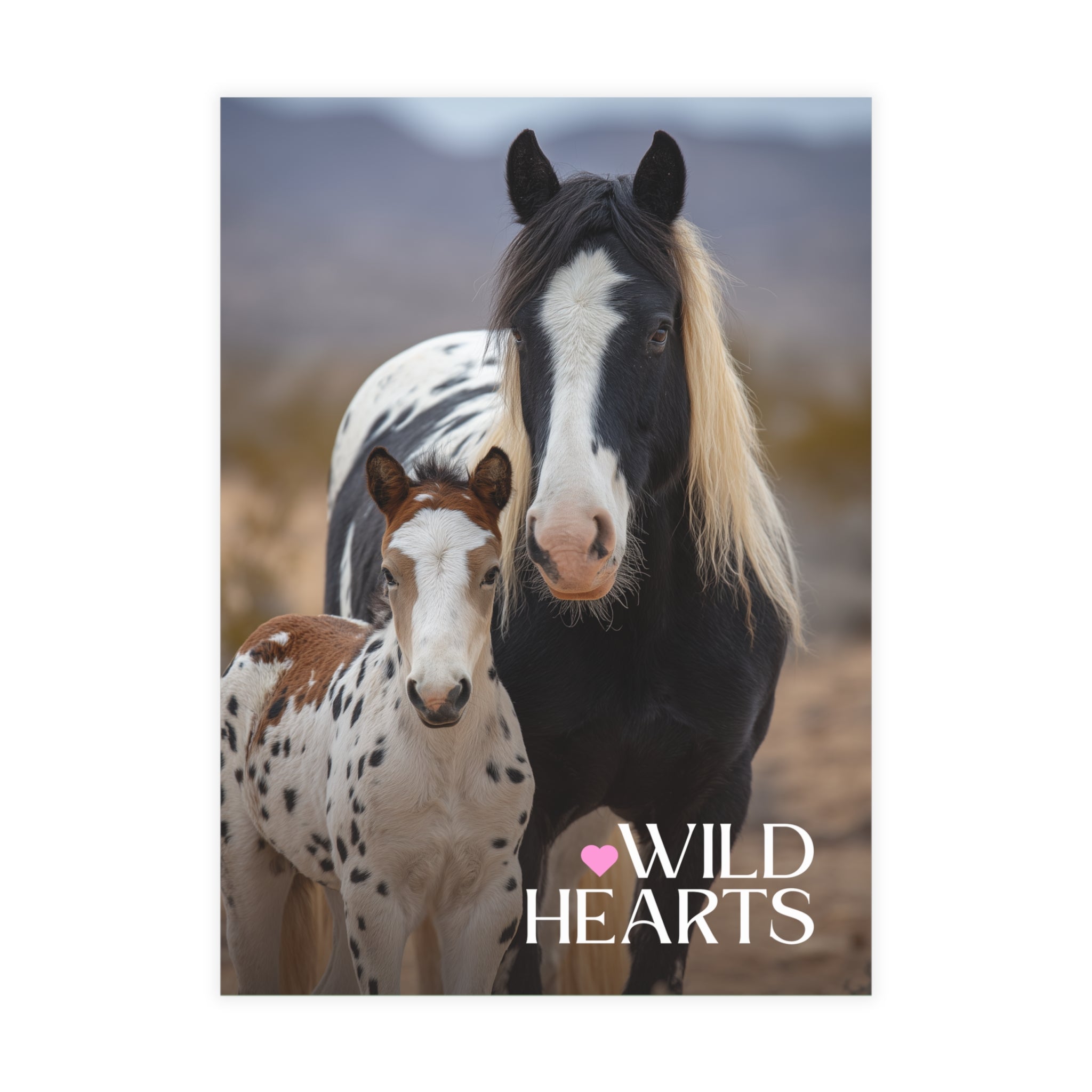 Wild Hearts v3 Postcard Bundle
