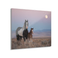Load image into Gallery viewer, Acrylic Print — Mare and Foal at Moonrise

