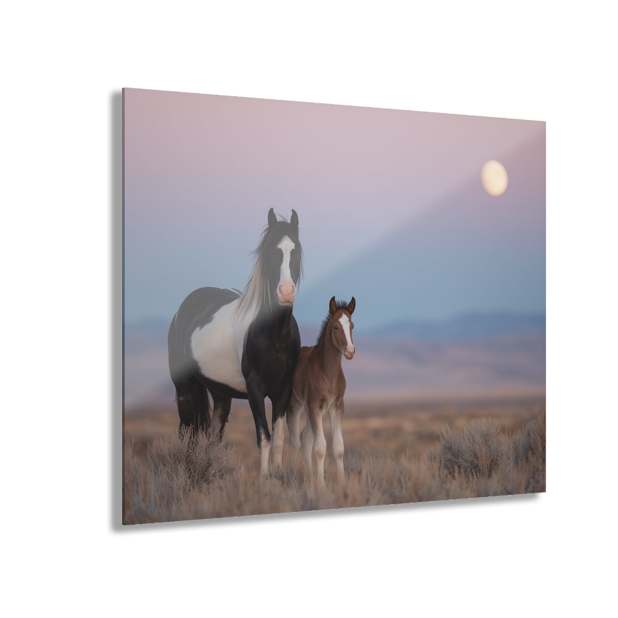 Acrylic Print — Mare and Foal at Moonrise