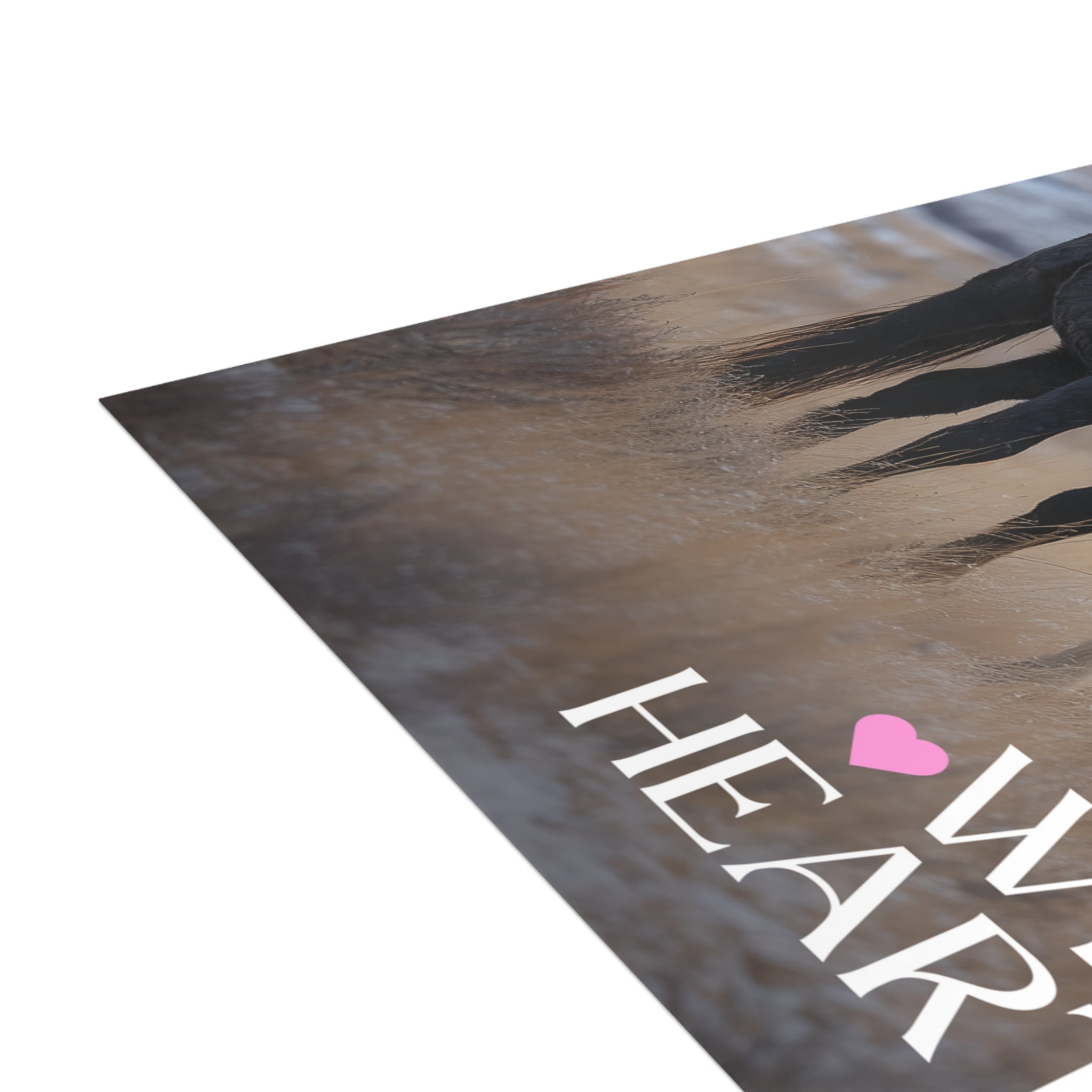 Wild Hearts Postcard Bundle