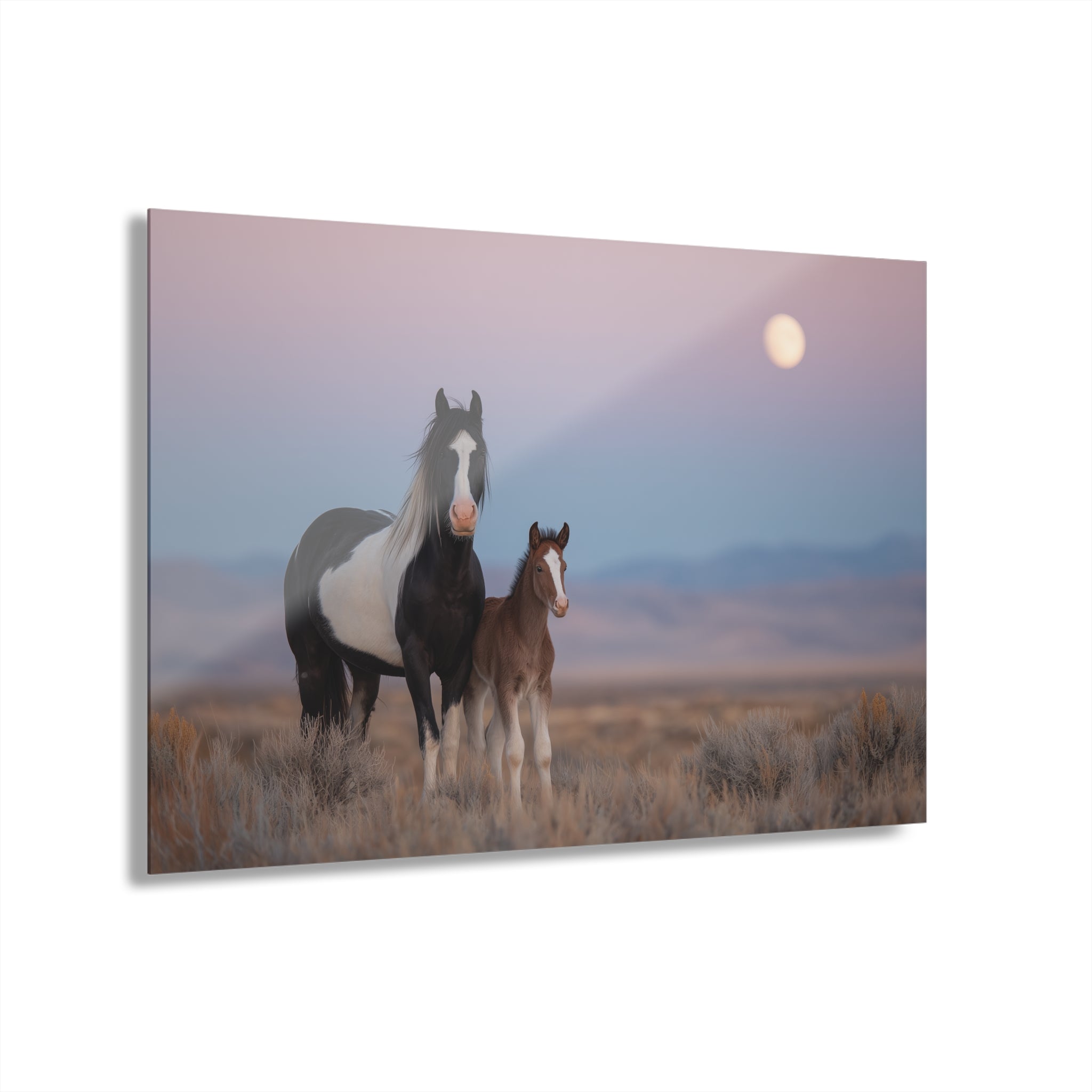 Acrylic Print — Mare and Foal at Moonrise