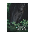 Load image into Gallery viewer, Celtic Hearts v3 Postcard Bundle
