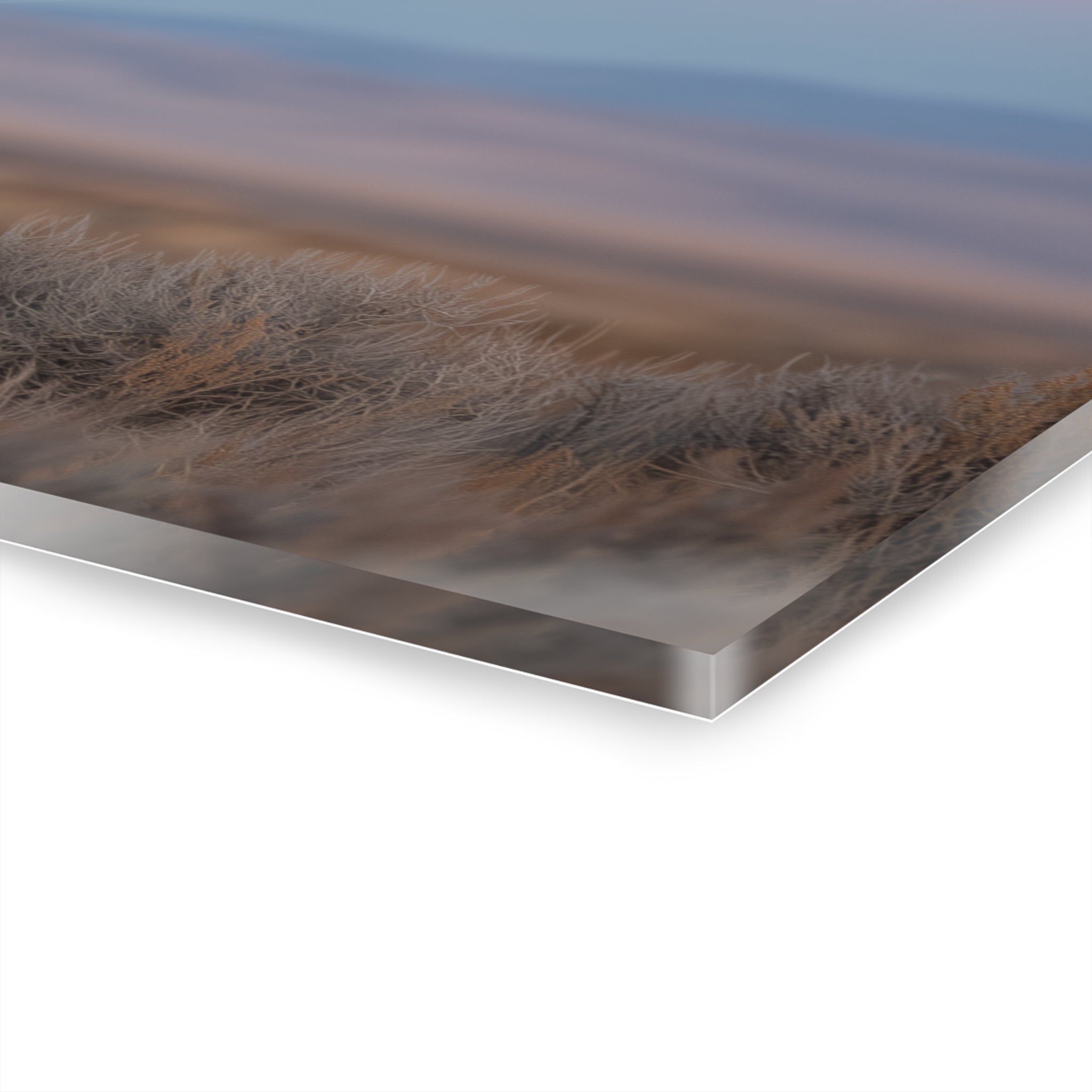 Acrylic Print — Mare and Foal at Moonrise